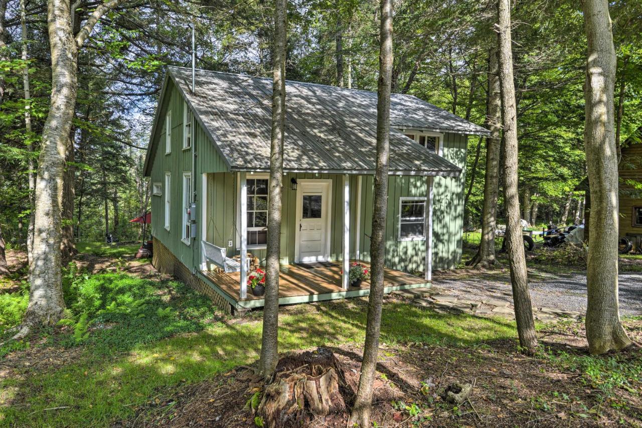 Adirondacks Cabin With Fire Pit On Otter Lake! Forestport Eksteriør bilde